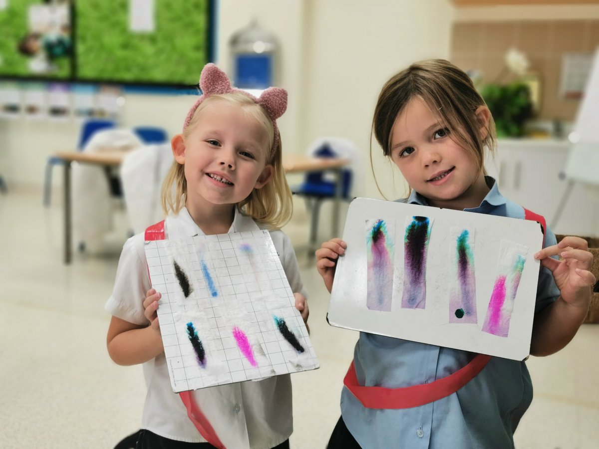 BSMuscatY2's tweet image. From the engineering room to chromatography and exploring the world to being writer&apos;s, our Year 2 children have loved getting involved in Discovery Learning. We can&apos;t wait for next week! @BSMuscatY2 @HPLedu @BSMuscatHeadPri