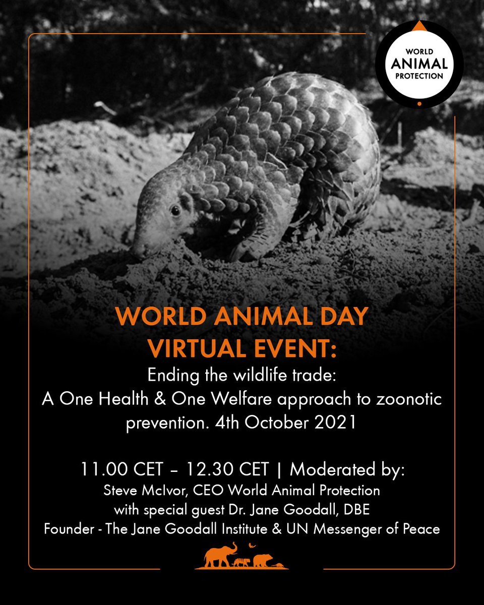 MoveTheWorldAF's tweet photo. Today is #WorldAnimalDay. To mark the day, from 12pm – 1:30pm EAT we are hosting a live online advocacy event themed “Ending wildlife trade: A One Health &amp; One Welfare approach to zoonotic prevention.” https://t.co/KC2mgG3HG7