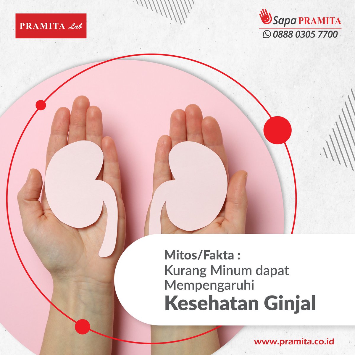 pramitalab_id's tweet photo. Mitos/Fakta: Kurang Minum Dapat Mempengaruhi Kesehatan Ginjal
Ginjal merupakan organ yang memiliki peranan paling penting bagi kesehatan tubuh.
#34TahunPramitaLab #ProudlyServingYou #HealthIsFun
https://t.co/PMgJNybWTV https://t.co/EnVj3HeHMJ