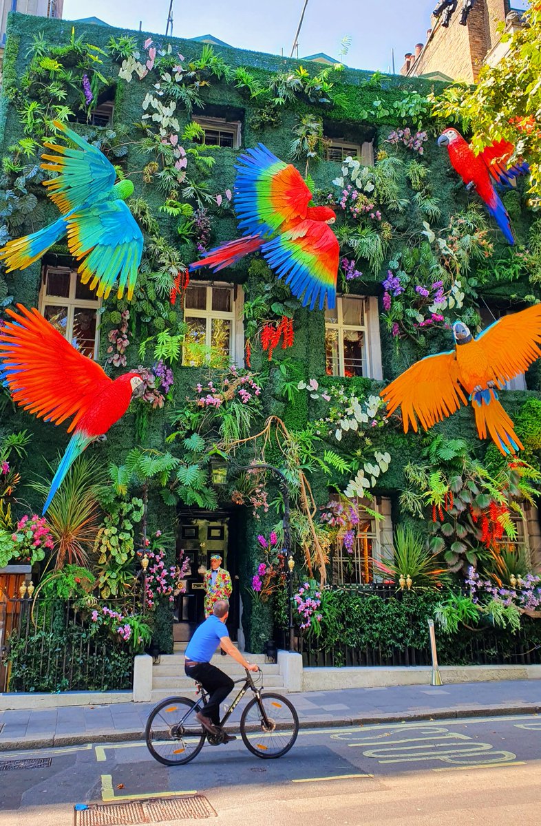 Yellow Moon Tours tweet media