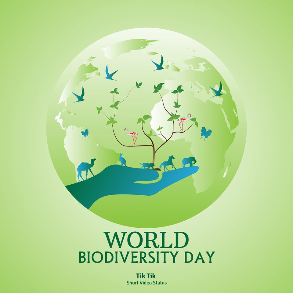 kennelop's tweet photo. Happy World Animal Day 2021 
💚#HappyAnimalwelfareday 💚
 🦘🐆🐘🐒🐎🐌🐋
#Animalwelfareday #Annimalday #animalwelfare #animals #animallovers #Elephent #tiger #Lion #wildlife #animal #Happy_JEONGHAN_Day #HappyWorldAnimalDay #tiktikvideoplayer #photovideomaker #weekly #videoplayer https://t.co/AsDfg1rorV