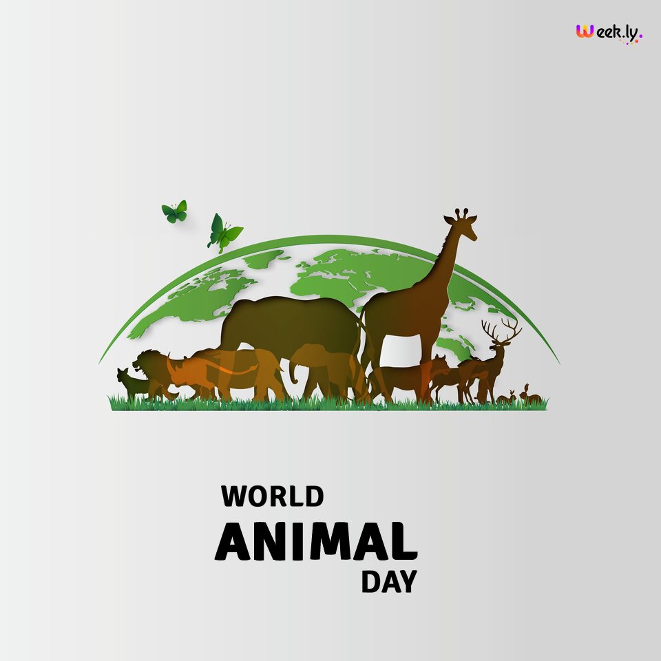 kennelop's tweet photo. Happy World Animal Day 2021 
💚#HappyAnimalwelfareday 💚
 🦘🐆🐘🐒🐎🐌🐋
#Animalwelfareday #Annimalday #animalwelfare #animals #animallovers #Elephent #tiger #Lion #wildlife #animal #Happy_JEONGHAN_Day #HappyWorldAnimalDay #tiktikvideoplayer #photovideomaker #weekly #videoplayer https://t.co/AsDfg1rorV