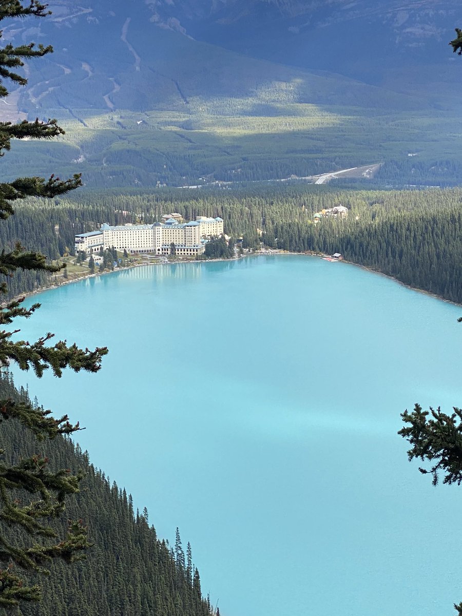 Aisling Keats (@aislingkeats) on Twitter photo 