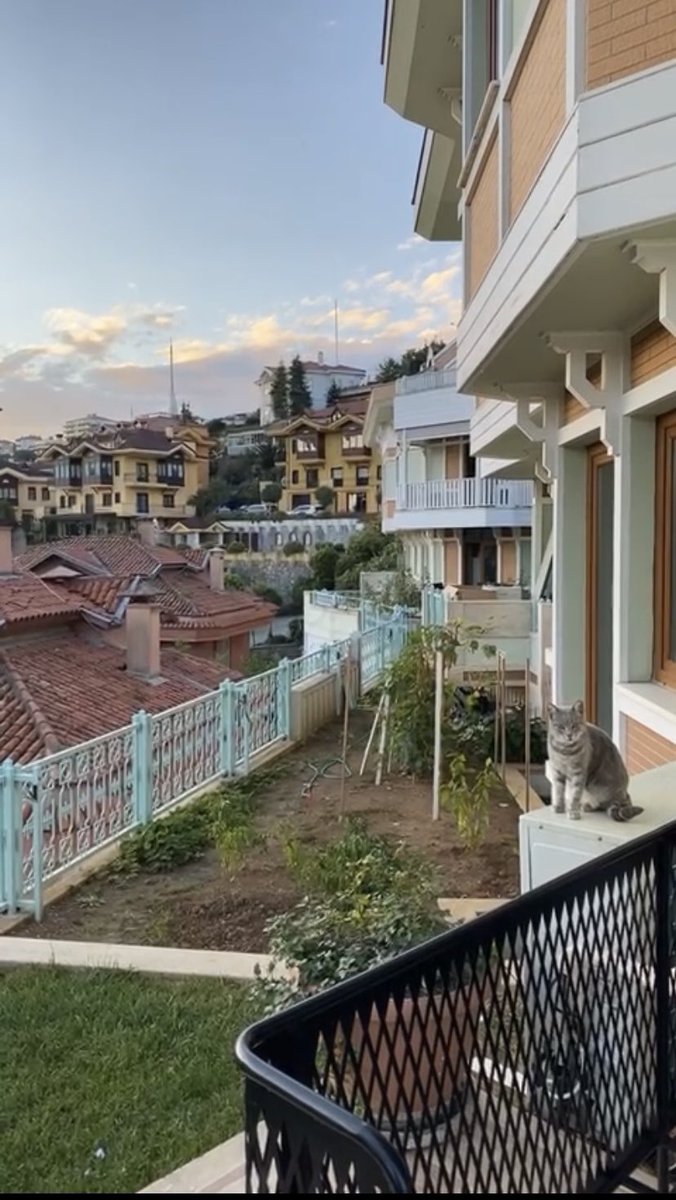 4 Ekim Hayvanları Koruma Günü kutlu olsun.