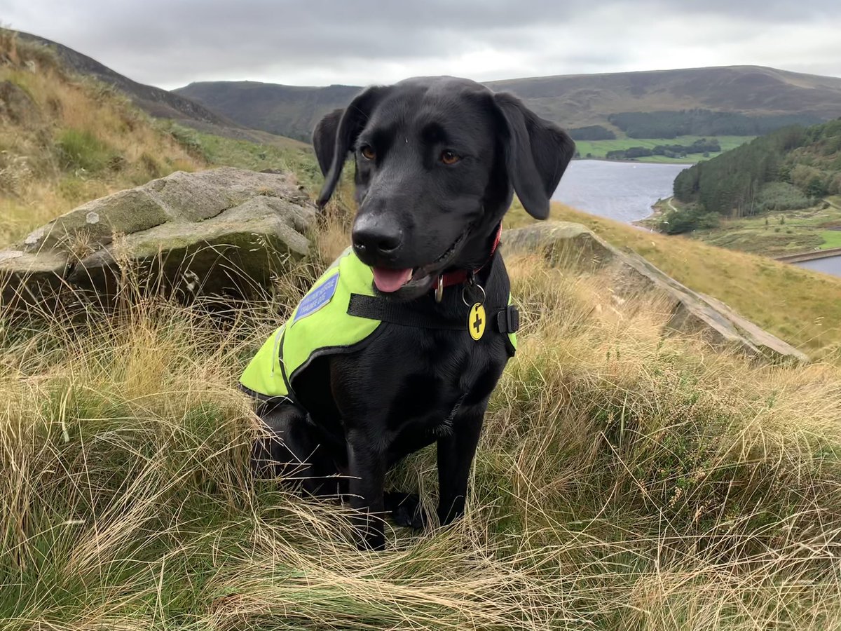doodlemore's tweet photo. Super 3-days in the Peaks with @MRSearchDogsEng. Bigger areas, harder terrain, steeper ground and harsher conditions. Merryn did brill. Thanks to the volunteer instructors and bodies as always, especially on Saturday which was ‘slightly damp’. https://t.co/FbFoIg1zCv
