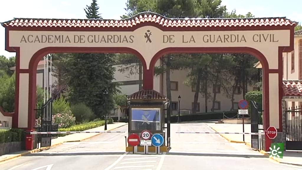 Enhorabuena a todos los que habéis pasado a la fase final y acceder a la 127 promoción de la G.C.Especialmente a nuestros aprobados:
1-R.C.P
2-A.T.S
3-A.P.C
4-R.M.M
5-A.A.F
6-J.R.T
7-I.S.M
8-J.O.A
9-B.I.A.P
10-D.G.S.R
11-G.G.C
Once alumnos de los 19 que ayudamos en su formación.