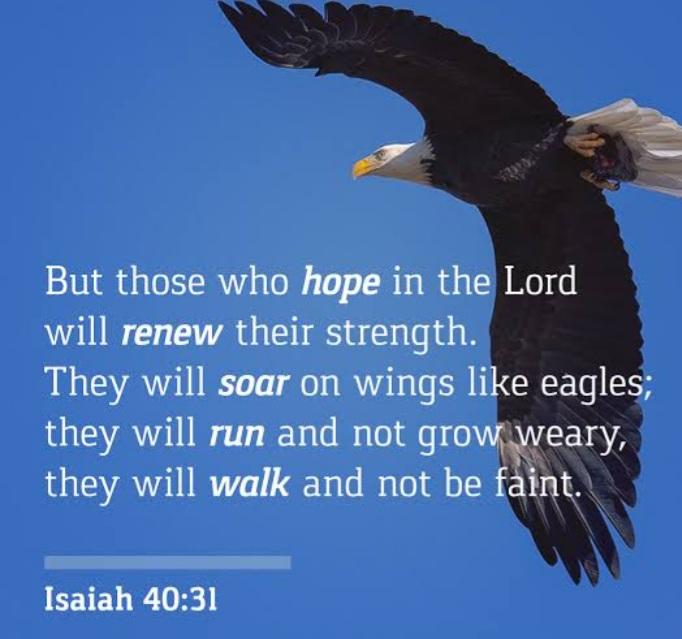 MarkMwesiga's tweet photo. But those who hope in the Lord will renew their strength. They will soar on wings like eagles; they will run and not grow weary,they will walk and not faint. Isaiah 40:31. Keep your hope in the Lord. Have a blessed week ahead friends. https://t.co/2PQcxTWcAx