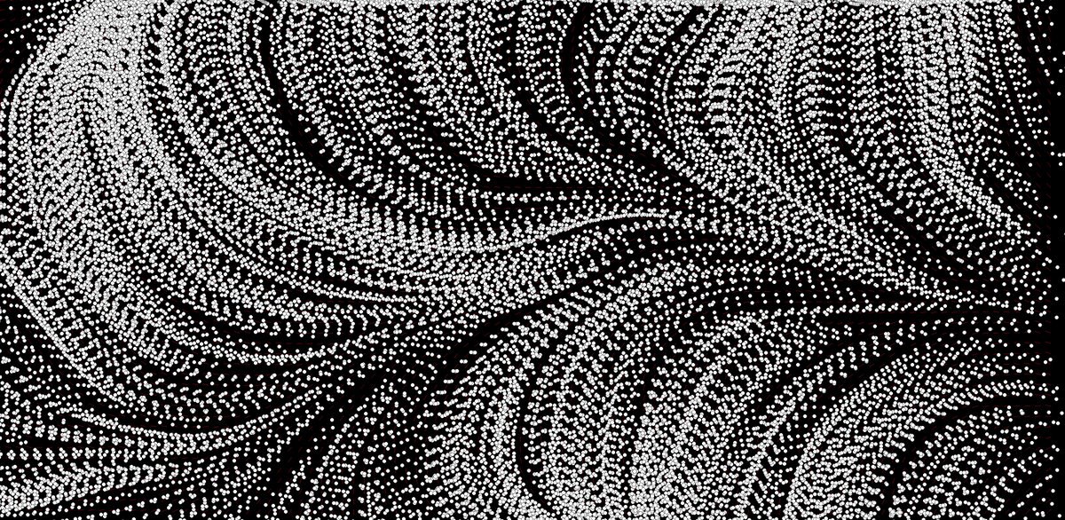 david_mar's tweet image. Large Format experiment set, #flowfields, Perlin, experiments with numbers of circles, steps and length.