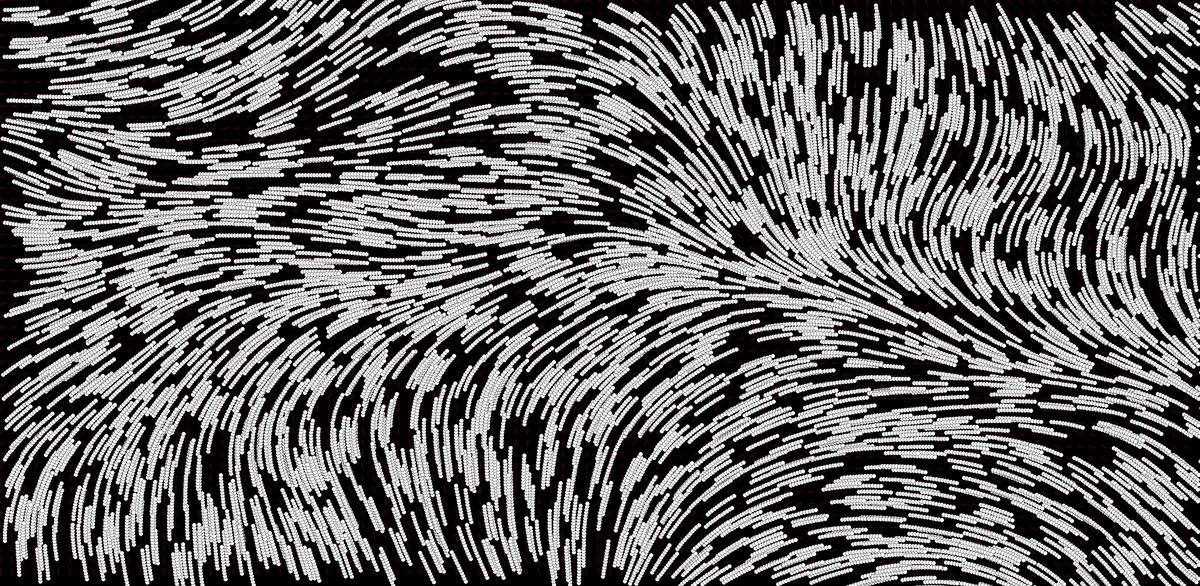 david_mar's tweet image. Large Format experiment set, #flowfields, Perlin, experiments with numbers of circles, steps and length.
