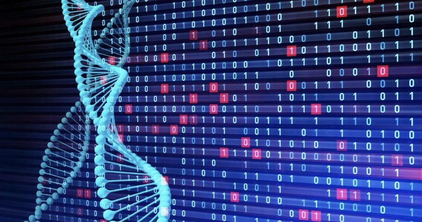 shary_pro's tweet photo. Join our free #webinar series and learn about #Bioinfomatics analysis!
🔌October 6, 2021 @ 6:00PM (Central European Time)
🗣 :  Akshay Zawar
Register here:
https://t.co/MjY5NFJ87N
 #ai #datascience 
#artificialintelligence #deeplearning #research #lifescience #genomics #ngs #sc https://t.co/g0pnzoddLz