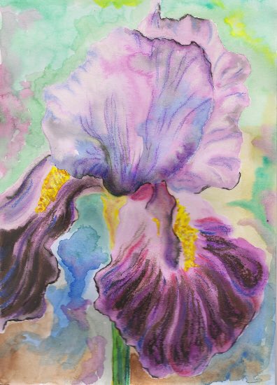 #Iris #Purple #Flower #Art #Surrey #Artists
‘Iris: Deep Purple’ - painting by Carla Scarano, member of Chobham Art Group and Woking Society of Art
Part of her portfolio on the Surrey Artists website 
surreyartists.co.uk