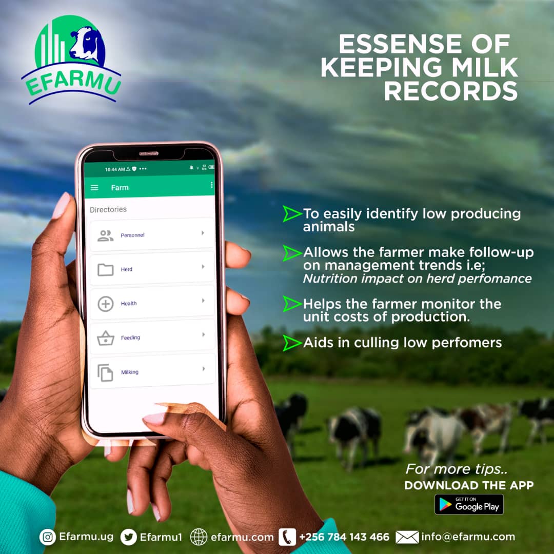 Happy new month!! Download the efarmu app for all your cattle farming tips