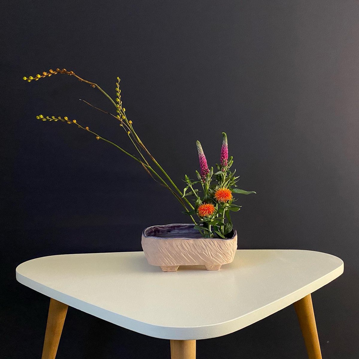 carlio 🌱 tweet media