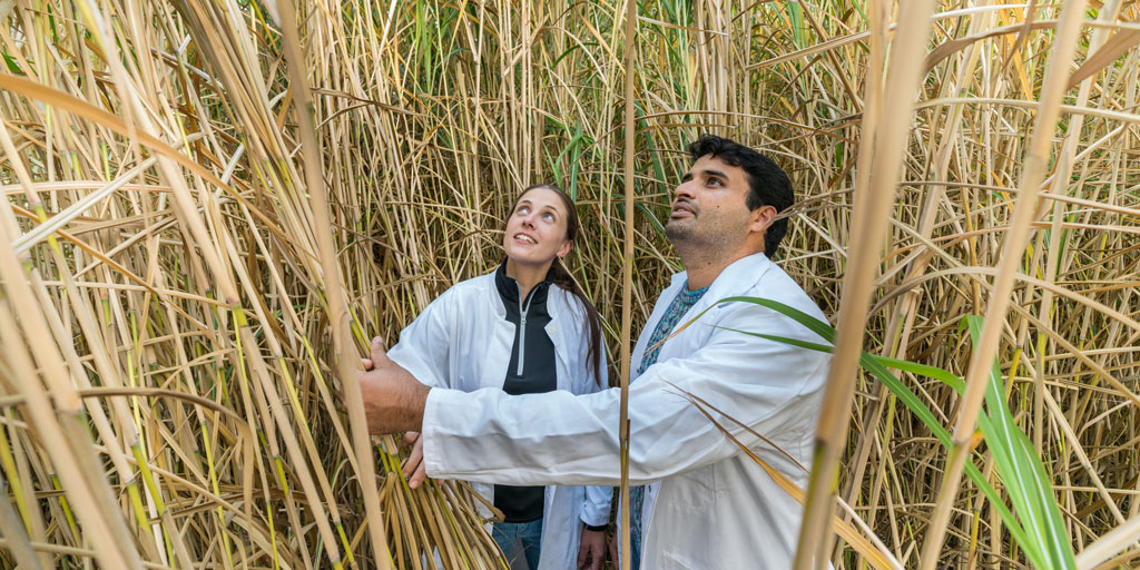 20.10., 9 Uhr: Landwirtschaftlicher Hochschultag an der #UniHohenheim: Die landwirtschaftlichen Wertschöpfungsketten der Zukunft: Zeit für neue Weichenstellungen in Politik, Landwirtschaft und Ernährungsbranche? #Agrar #Landwirtschaft | ow.ly/QHC950GhDMd