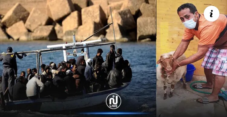 A sheep among a group of Tunisians who recently reached the Italian island of #Lampedusa 🇮🇹🐑🇹🇳