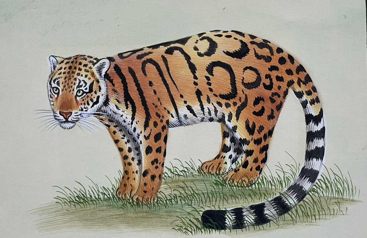 A very good morning to all ☀️🎉

Grateful for this opportunity ❤️