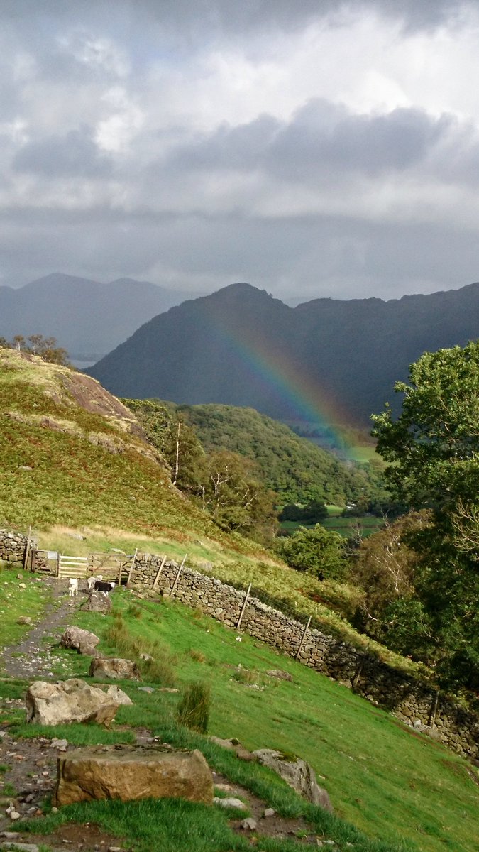 A trip to the lake district made out of necessity not choice, was unexpectedly joyous.