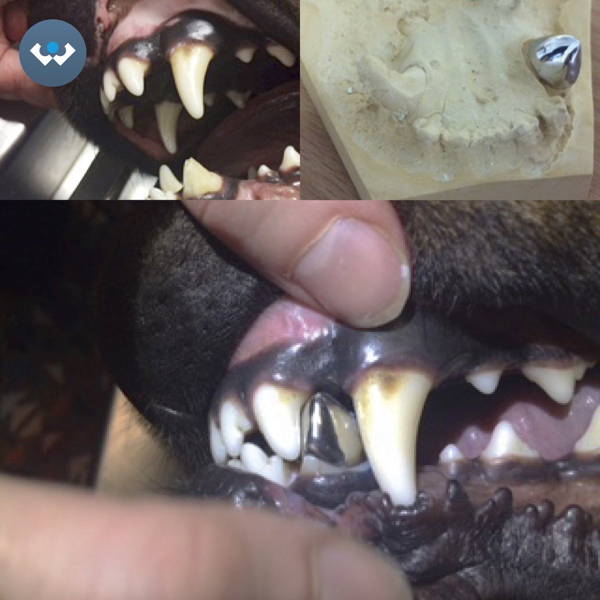 Excent Tandtechniek tweet media