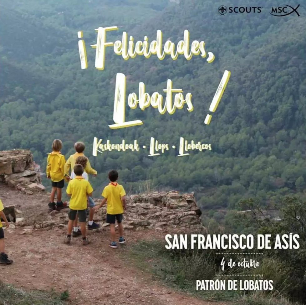¡Feliz San Francisco de Asís, Patrón de los Lobatos! 🐺⚜️

#ManadaGuachapelí #ScoutsMSC