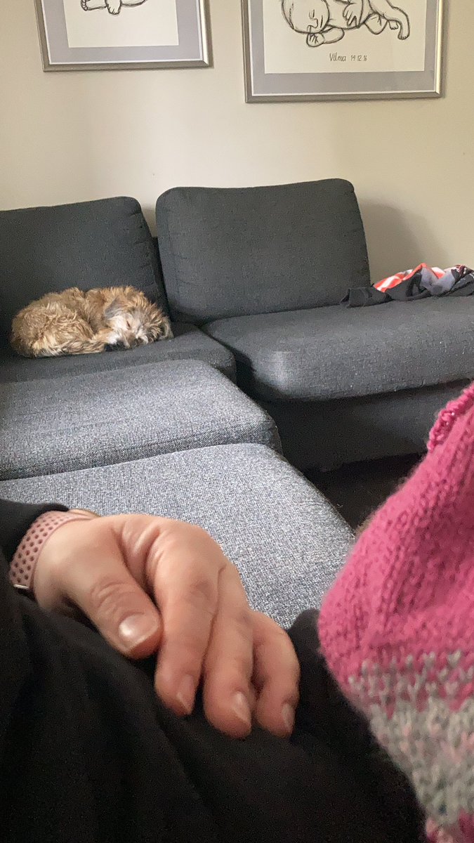 AnniinaHaikka's tweet photo. Mulla on nuha joten kotipäivä tänään. Koirakin pitää turvaväliä. #nuha #covid19 #vuorokausi #oireita #testiin #syysflunssa https://t.co/c72q5lFPhG