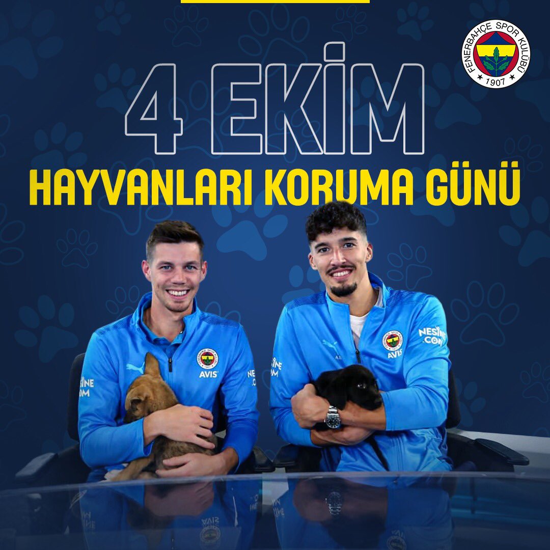 Aynı dünyayı paylaştığımız dostlarımızla hayat daha güzel. Onları koruyalım, sahip çıkalım. 🐾

#4EkimHayvanlarıKorumaGünü