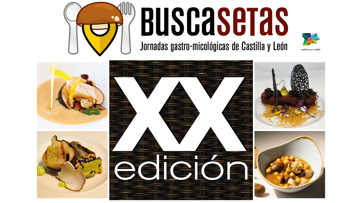 Buscasetas va a cumplir XX años y lo hace rindiendo homenaje a los platos de los cocineros y cocineras de CyL. Abierto plazo de inscripción hasta 15 octubre. <a href="/tierradesabor/">Tierra de Sabor</a> <a href="/euro_toques/">Euro-Toques</a> @CyLesVida <a href="/GastronomiaCyL/">Academia Castellana y Leonesa de Gastronomía</a> <a href="/maestrescocina/">MAESTRES</a> #Buscasetas2021 #micologia #setas #castillayleon