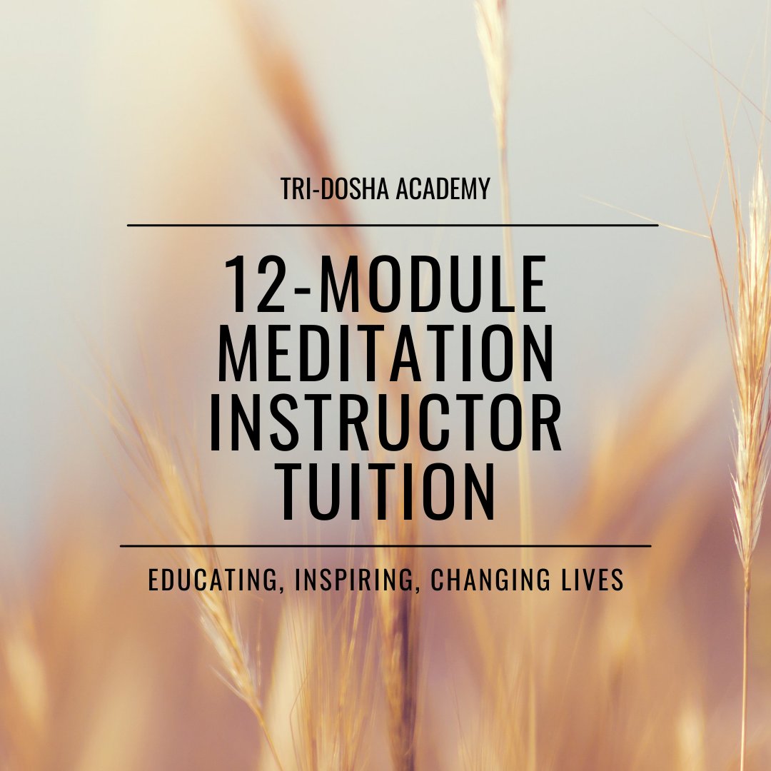 Graduates are certified as Meditation Instructors and able to facilitate sessions with our wellness operator partners; find their own affiliation within their cities and communities; or give something back to the place they live.

📌Click the link in our bio to register.