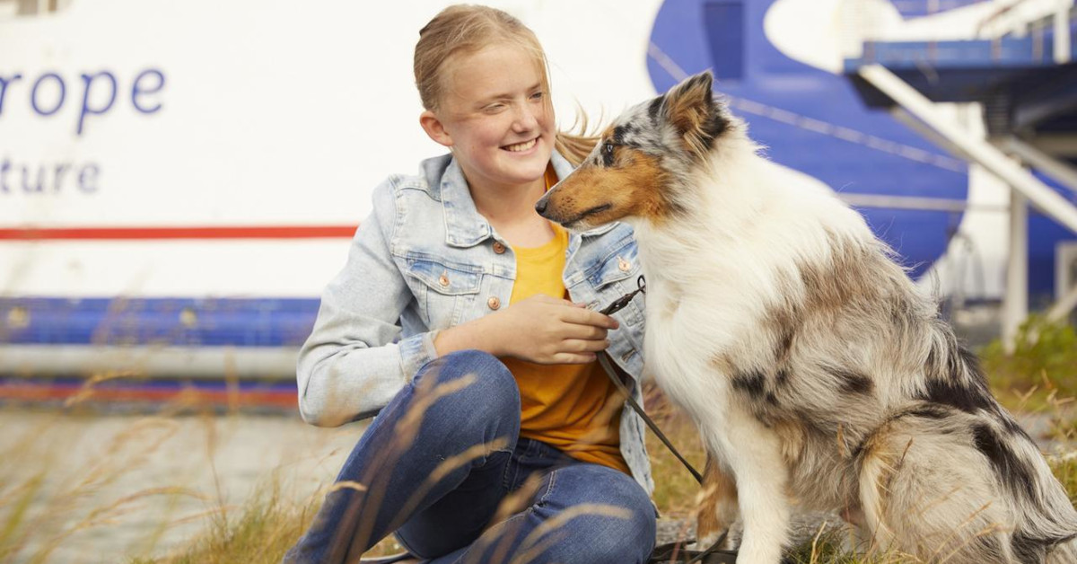 Happy World Animal Day! Planning on taking your dog, cat or ferret to Holland? Read here what you need to know | stena.li/Nhgf50GbEIt

#stenaline #stena #line #ferry #ferrynice #holland #pettravel #worldanimalday
