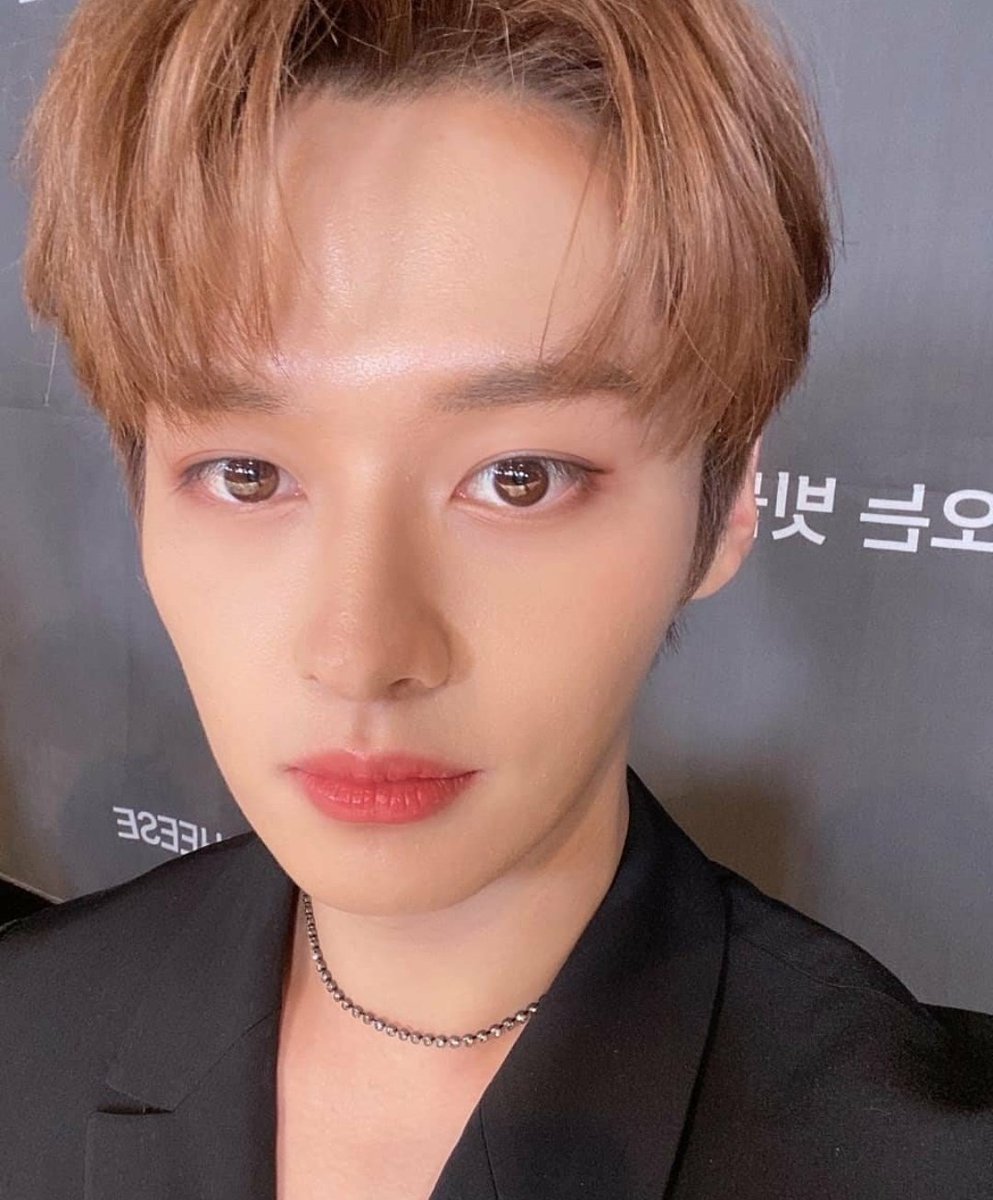 PushpaNaorem's tweet image. Lee know's skin is just chef kiss😘
#LeeKnow #straykids