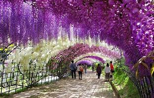 ames88555604's tweet photo. Very good<><> https://t.co/Ubbo0MUnNL