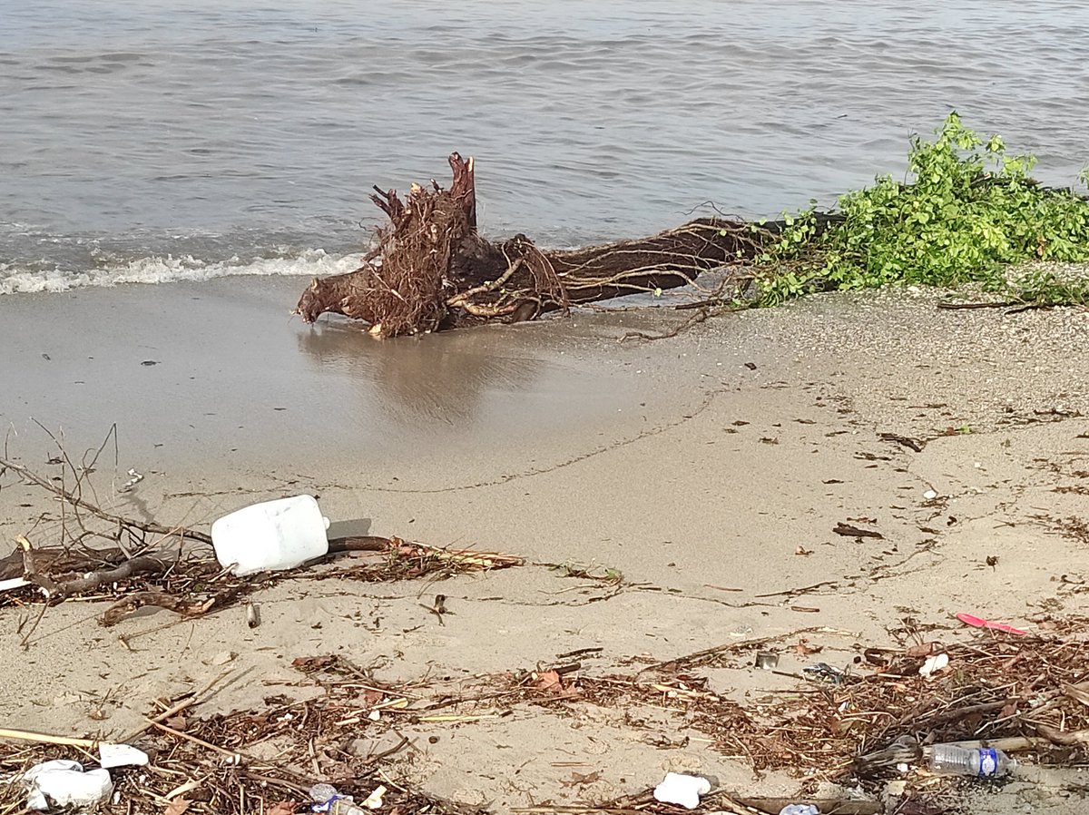 MorandNathalie_'s tweet photo. #Vigilancerouge à #Marseille veut aussi dire #pollution du #littoral par les déchets et les #eaux usées qui se déversent dans la #Méditerranée par l'#Huveaune😞 https://t.co/cu6b5cv1bB