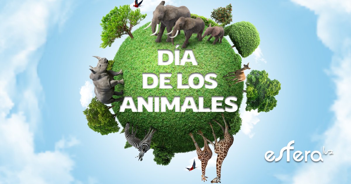 8,7 mill. de especies en el planeta. Las mayores amenazas: destrucción de sus hábitats, cambio climático, caza y tráfico ilegal de especies exóticas. No compres animales por internet, cuida bien de tus mascotas y consume sostenible ¡Eso lo podemos hacer!😀 esferaluz.es