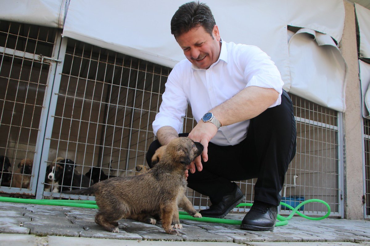 BilalSoykantr's tweet photo. Unutmayalım!
Onlar, bize emanet.

Hayatımızın büyük bir bölümüne sahip olan, dost ve sırdaşlarımızı koruyup, onların güvenli bir şekilde yaşamlarını sürdürmeleri için elimizden geleni yapıyoruz.

#4Ekim #DünyaHayvanlarıKorumaGünü kutlu olsun. 🐕🐤🐈‍⬛ https://t.co/wpVfpbzc6t