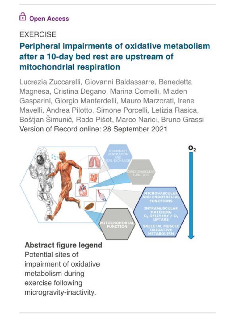 Lucrezia Zuccarelli (@lucy_zucca) on Twitter photo Check it out! Our last paper investigating the peripheral limitations in #oxidative #metabolism following simulated #microgravity condition on <a href="/JPhysiol/">Journal of Physiology</a>
<a href="/PorcelliSimone/">Simone Porcelli</a> <a href="/LetiziaRasica/">Letizia Rasica</a> <a href="/GManferdelli/">Giorgio Manferdelli</a> <a href="/andreapil8/">andreapil8</a> Check it out! Our last paper investigating the peripheral limitations in #oxidative #metabolism following simulated #microgravity condition on <a href="/JPhysiol/">Journal of Physiology</a>
<a href="/PorcelliSimone/">Simone Porcelli</a> <a href="/LetiziaRasica/">Letizia Rasica</a> <a href="/GManferdelli/">Giorgio Manferdelli</a> <a href="/andreapil8/">andreapil8</a>