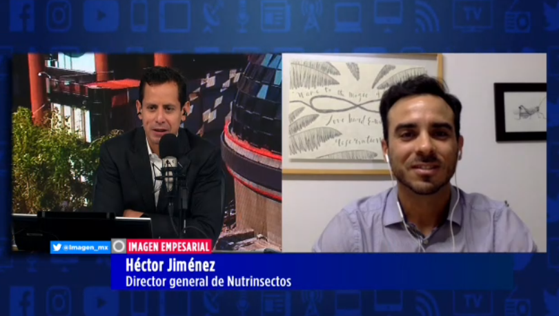 ¿Los insectos son una opción sustentable para la producción de proteína? 🦗🪲

🔘 Héctor Jiménez, director general de #Nutrinsectos, nos habla del tema en #entrevista con <a href="/Rodpac/">Rodrigo Pacheco</a>. 
 
bit.ly/3FqxnoK