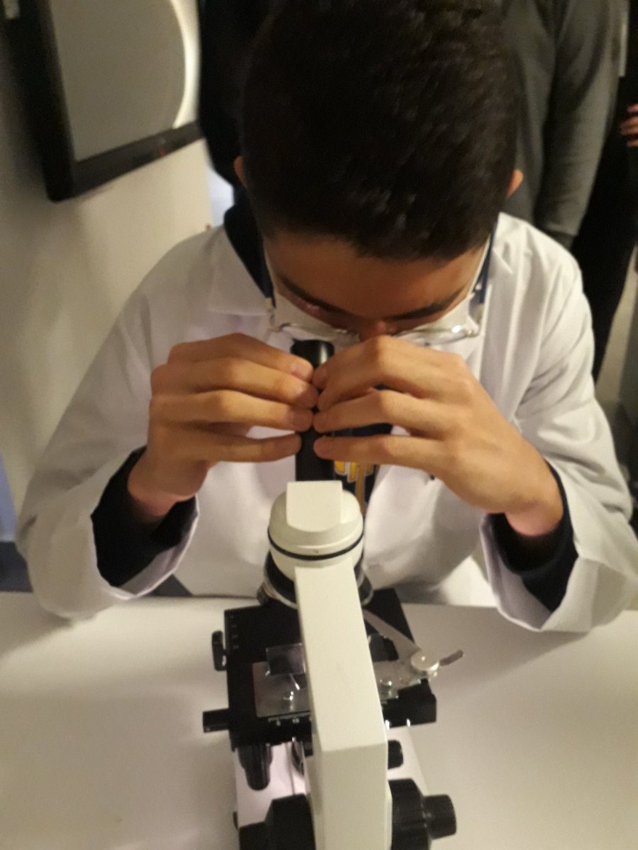 Genel hücre incelenmesi 10 fentek <a href="/TuzlaPrimary/">Doğa Koleji Tuzla Kampüsü</a> <a href="/KilicozMuhammet/">Muhammet Kılıçöz</a> <a href="/ali_aslisen/">Özgür Ali Aslışen</a> <a href="/MeltemCsr/">Meltem Cesur Kılıçaslan</a>