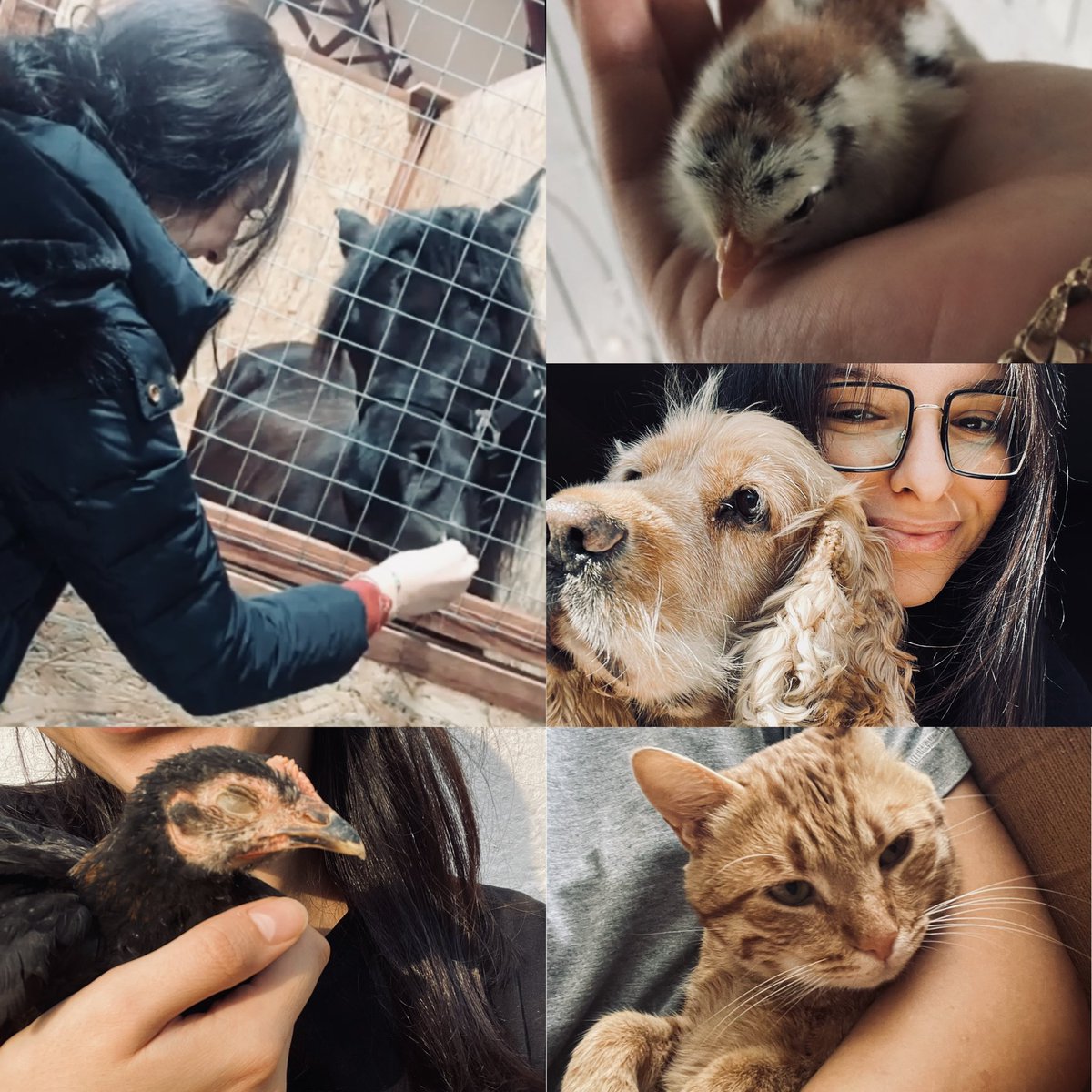 Meleklerin bebeklerden sonra en güzel vücut bulmuş halidir hayvanlar 🤍 #4EkimHayvanlariKorumaGunu