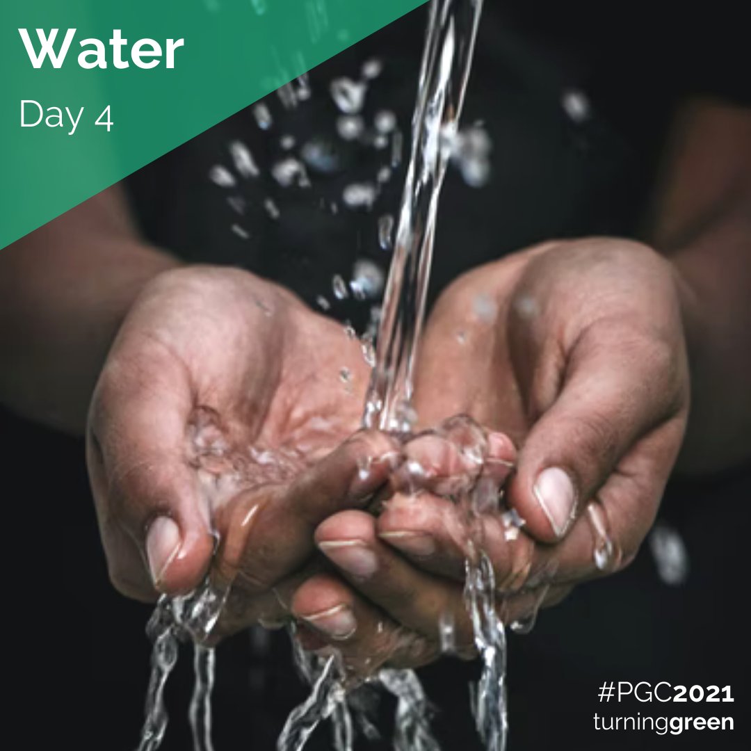 Turning Green (@turninggreenorg) on Twitter photo 💧🌊🌎 On Day 4 of #PGC2021, we are rising up to learn, conserve & protect a resource critical for climate justice & our future — with millions of activists & mission-driven partners like <a href="/boxedwater/">Boxed Water</a> <a href="/lonelywhale/">Lonely Whale</a> <a href="/WaterFootprintN/">Water Footprint</a>. projectgreenchallenge.com 💧🌊🌎 On Day 4 of #PGC2021, we are rising up to learn, conserve & protect a resource critical for climate justice & our future — with millions of activists & mission-driven partners like <a href="/boxedwater/">Boxed Water</a> <a href="/lonelywhale/">Lonely Whale</a> <a href="/WaterFootprintN/">Water Footprint</a>. projectgreenchallenge.com