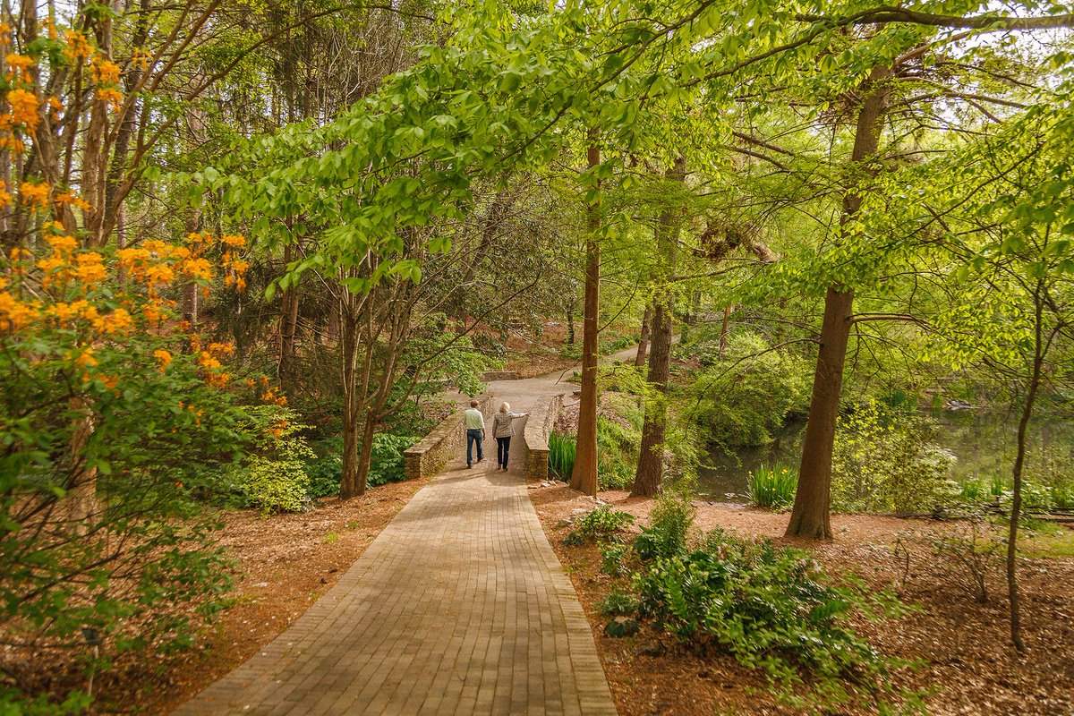 South Carolina Department of Admn tweet media