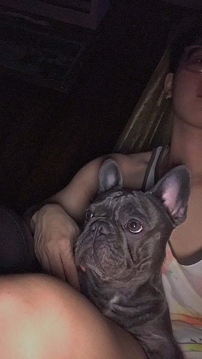 JanSilverio's tweet photo. She's too busy netflix-ing.. 😤 https://t.co/II7YocK9eR