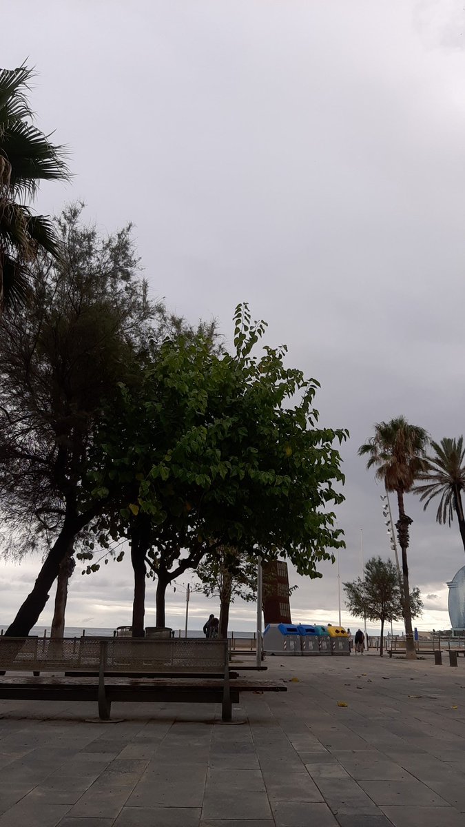xevi_nodi's tweet photo. Uns minuts de repòs, de calma, de #lectua en aquest dilluns turbulent de pluja, #vagarodalies i caos al #transportpublic. L'oneig amansa els qui hem mamat mar des de petits. https://t.co/zbmpQavyGj