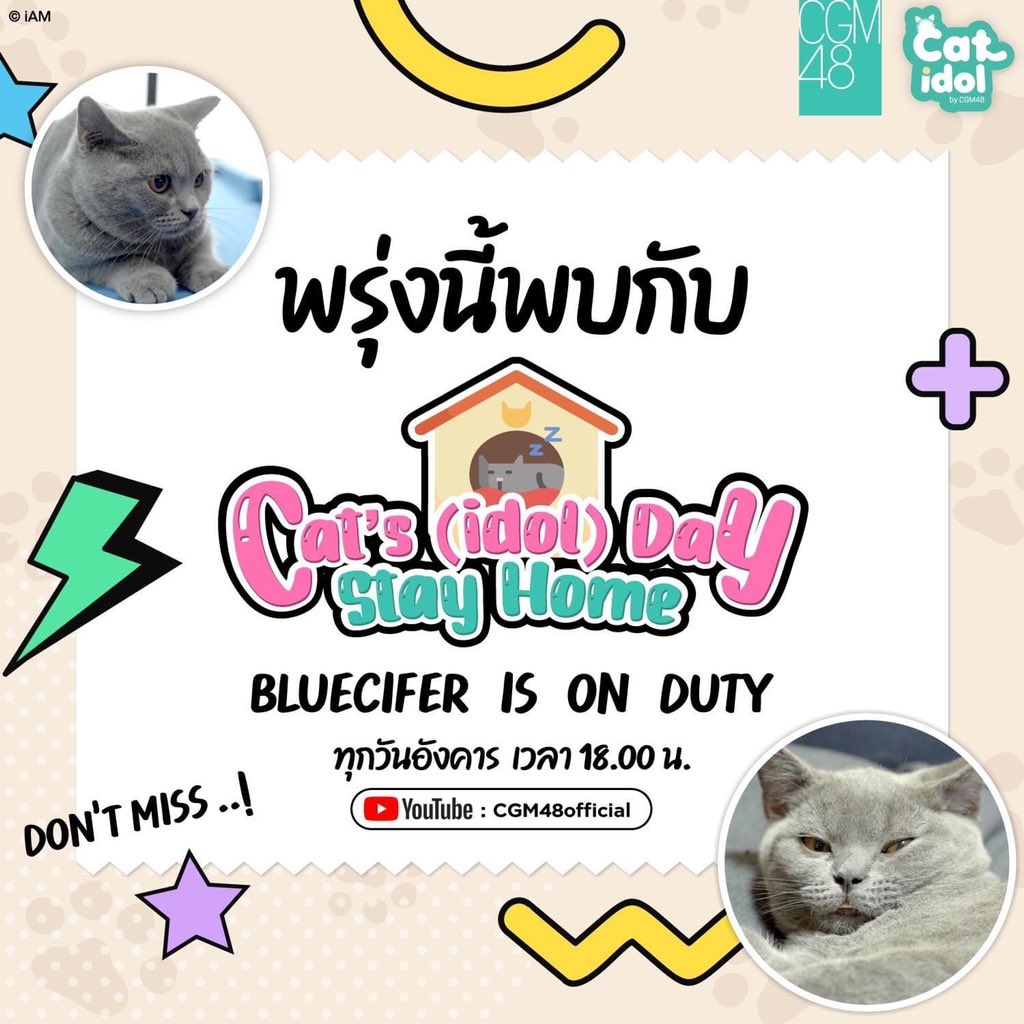 bluecifer7's tweet photo. [🐈‍⬛] — #Catsdaystayhome

- DON'T MISS -  ! 🚨

Cat'S(idol)Day
_____Stay Home ____ 🏢
#BluciferIsOnDUTY

เห็นแก้มกลม ๆ ของบลูมั้ยคับ เจอกันนะค้าบนุดดด
Youtube : CGM48official 

#CatIdolByCGM48
#BlueciferCGM48 
#TeamBluecifer
#CGM48 https://t.co/FXDAdOG93S