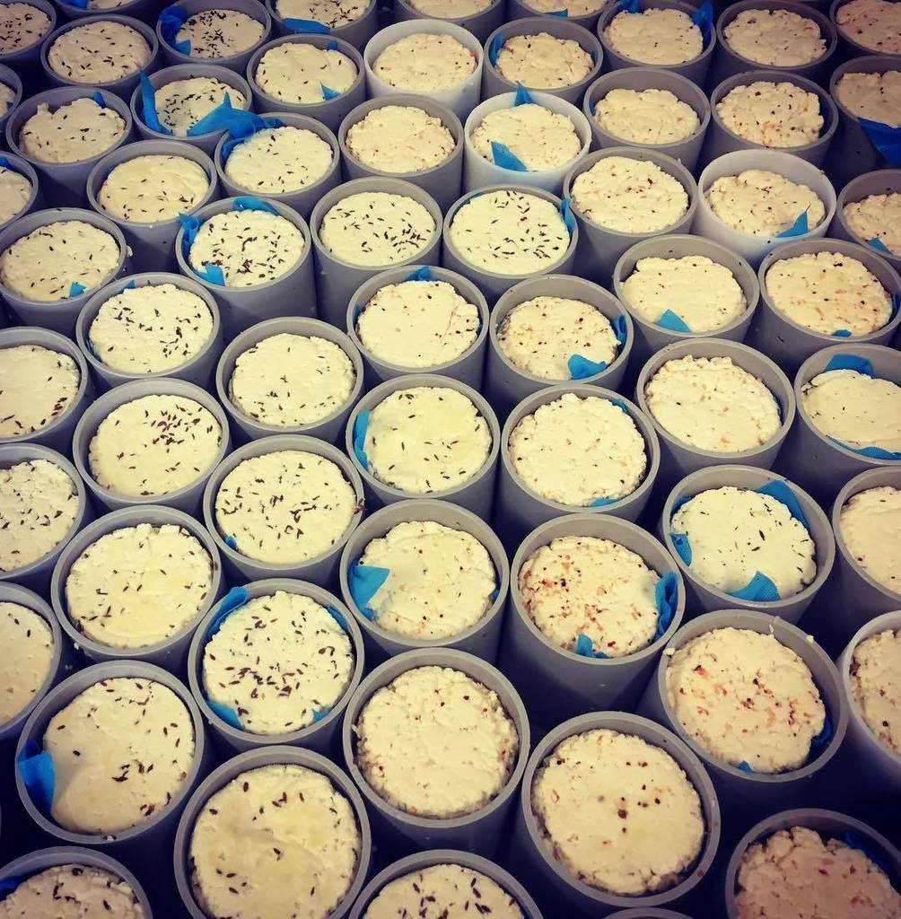 Since we work in the #Cheese &amp; #Yoghurt industry we like to keep up to date with all the #Dairy news! If you're interested in #handmade #Cheese &amp; #Yoghurt please RT. We have 268 followers - would be great to get some more 🙏🧀🥛precisioncut.org.uk