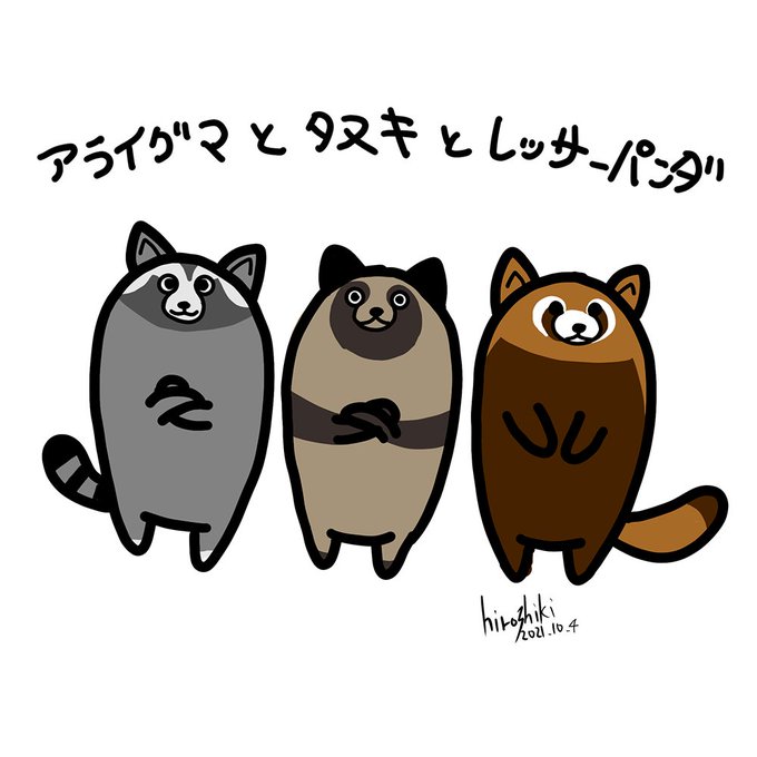 レッサーパンダのtwitterイラスト検索結果