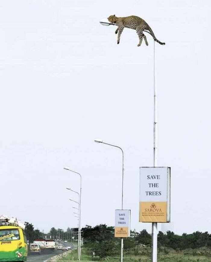 ekmokaya's tweet photo. Quite the ad from Kenya. Gets the point home fast. 

H/t @futureherman https://t.co/4xMLjHD0aA