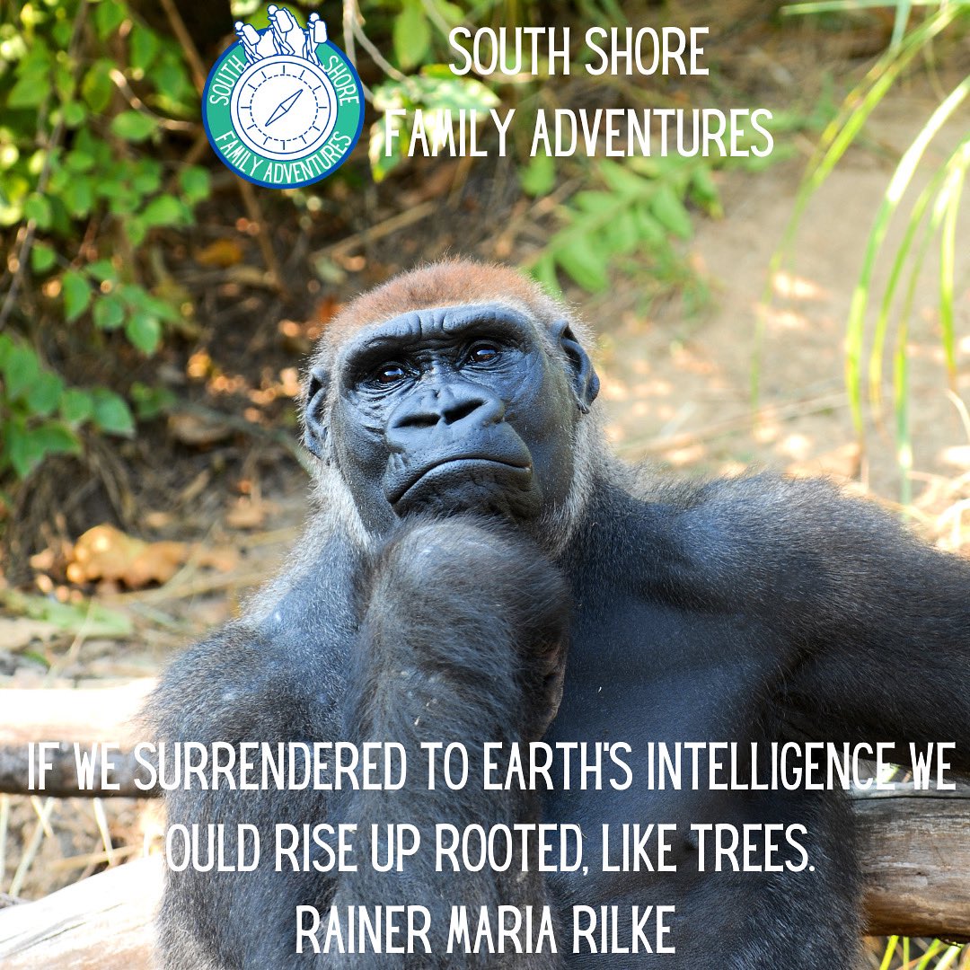 Happy Monday, everyone! 
#MondayMorning #mondaythoughts #InspirationalQuotes #NatureQuotes