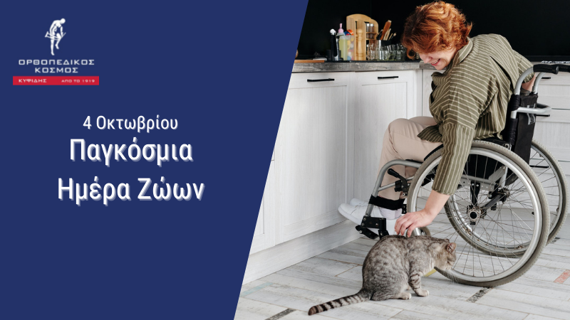 kifidisOrthoped's tweet photo. 4 Οκτωβρίου 2021
Παγκόσμια Ημέρα Ζώων 

#ΠαγκόσμιαΗμέραΖώων #WorldAnimalDay #WorldAnimalDay2021 #WorldAnimalWelfareDay #4thofOctober #Παγκοσμια_ημερα_των_ζωων https://t.co/zviraWk5t4