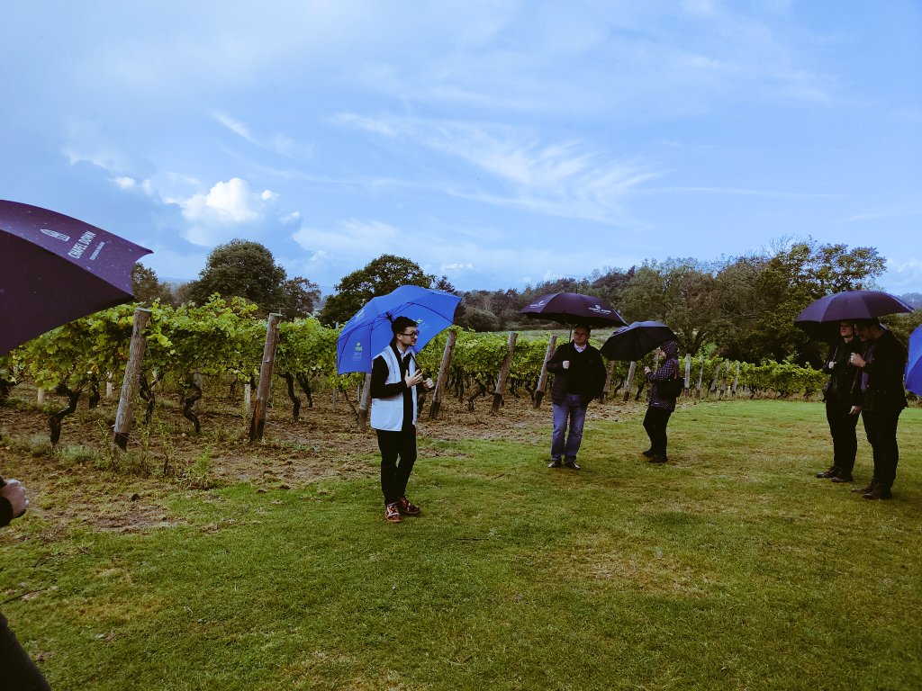 Tim_Tippler's tweet photo. Lovely start to the week, Monday morning wine tour and tasting with Henry from Chapel Down @ChapelDownWines @swanchapeldown #englishwine #englishvineyard #kentwines #timtippler https://t.co/miVgqCynh0