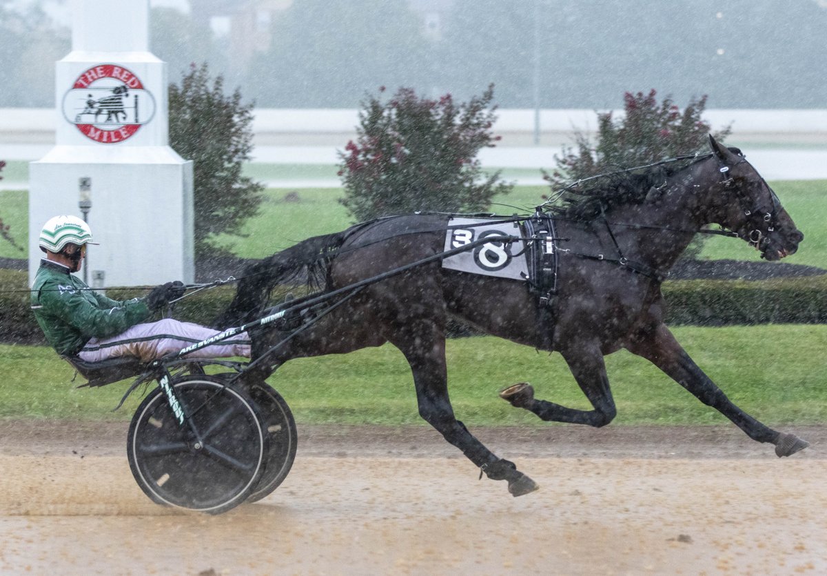 USTrotting's tweet photo. Svanstedt long shots sweep Bluegrass colt trots. Read now. https://t.co/z45b6DFqjD
@RedMileRacing 

Stephens Photo https://t.co/vThtSW8DqF