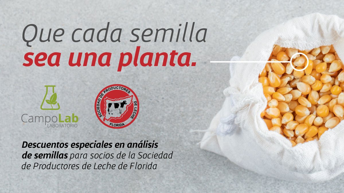 Que cada semilla sea una planta, un nuevo lazo entre <a href="/_splf/">SPLF</a> y CampoLab! 🤜🤛 #semillas #analisissemillas